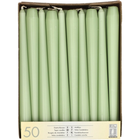 Dinerkaarsen/kandelaarkaarsen Mega pack - 50x stuks - jade groen - Gotisch - 25 cm -