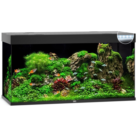 Juwel aquarium Rio 350 LED met filter zwart - Gebr de boon