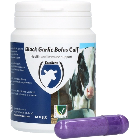 Black Garlic Bolus Calf