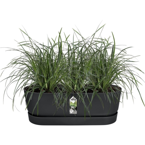 elho Greenville Easy Balcony - Zwart