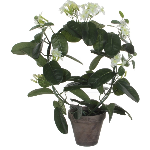 Mica Decorations Stephanotis Kunstplant - H50 x Ø40 cm - Wit