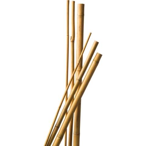 100x stuks bamboestokken 60 cm - plantensteun / tonkinstokken -