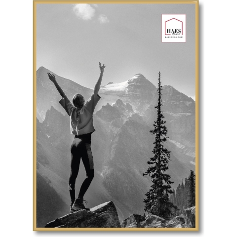 Haes Deco Kunststof Fotolijst EF8G Easy Frame Goud 50x70 cm