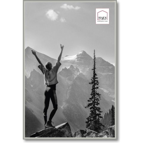 Haes Deco Kunststof Fotolijst EF9S Easy Frame Zilver 40x60 cm