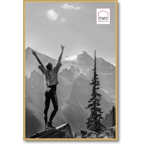Haes Deco Kunststof Fotolijst EF9G Easy Frame Goud 40x60 cm