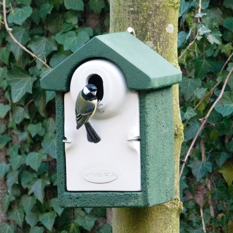 Nestkast Sevilla WoodStone ovale invliegopening Groen