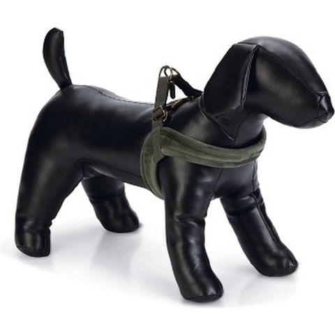 Designed by Lotte Velura - Hondentuig - Groen - M - 20 mm x 58 cm