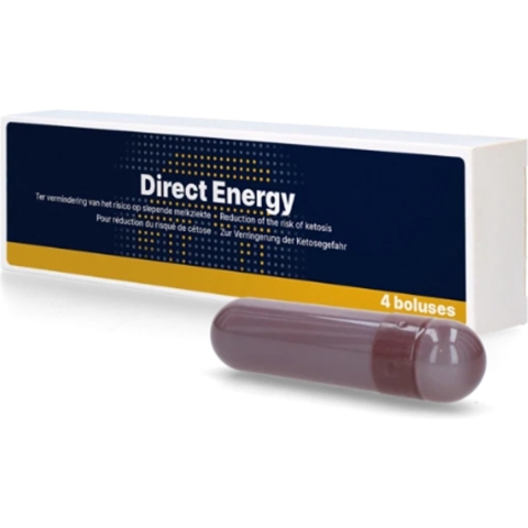 Direct Energie Bolus