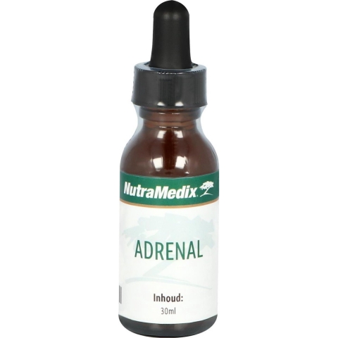 Adrenal