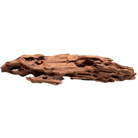 Honeycomb wood large - Aquadistri