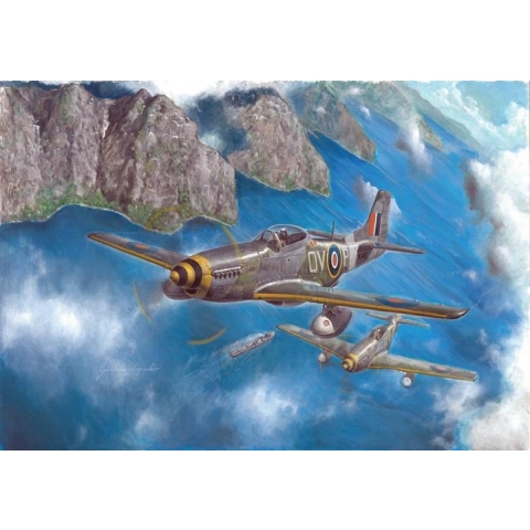 Italeri 1/48 Mustang Mk.lVa