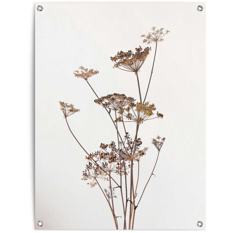Reinders - Fashion Flower - Tuinposter 80x60cm