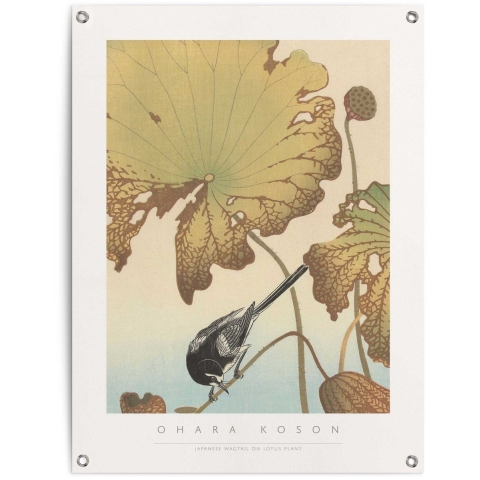 Reinders - Ohara Koson's Wagtail and Lotus - Tuinposter 80x60cm