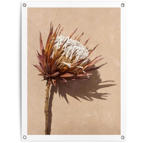 Reinders - Shadow Still - Tuinposter 80x60cm