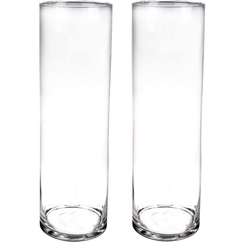 Set van 2x stuks hoge cilinder vazen van glas 50 x 15 cm -
