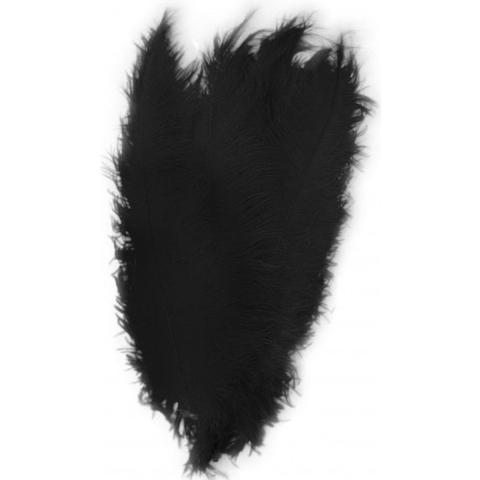 Grote veer/struisvogelveren - 5x - zwart - 50 cm - Carnaval - Sierveren/decoratie veren -