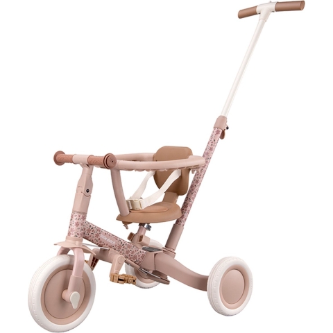 Driewieler/Fietsje 4in1 Little Dutch Pink