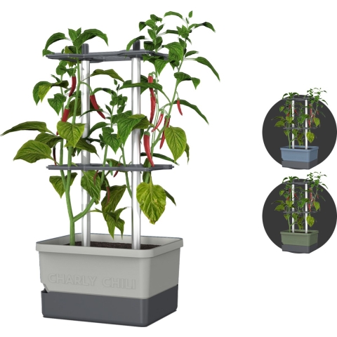 Gusta Garden - Charly Chili - Chiliplanter met watertank