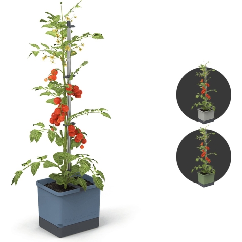 Gusta Garden - Tom Tomato - Tomatenplantenbak met watertank