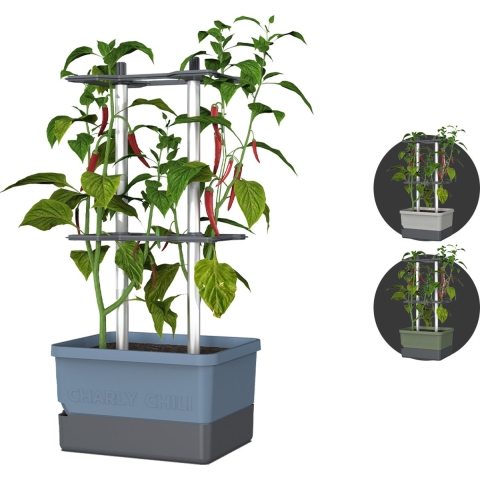 Gusta Garden - Charly Chili - Chiliplanter met watertank