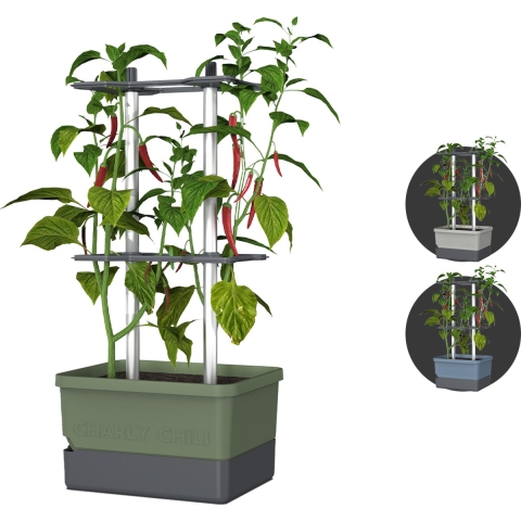 Gusta Garden - Charly Chili - Chiliplanter met watertank