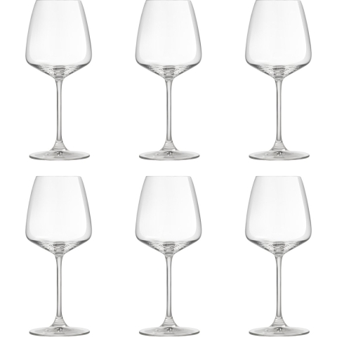 Royal Leerdam Wijnglas Experts Collection 43 cl 6 stuk(s)