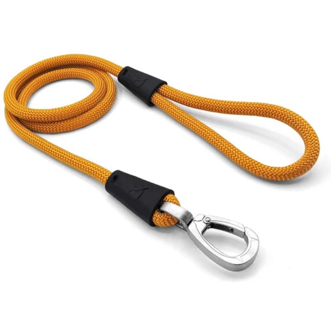 Morso Morso hondenriem regular rope gerecycled gold goud