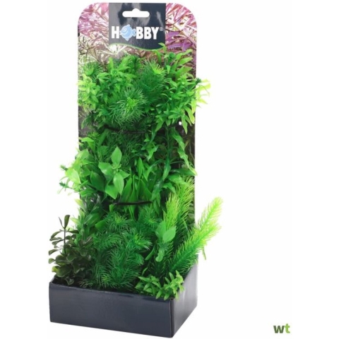 Plantasy set 5 decoratie planten - Smulders