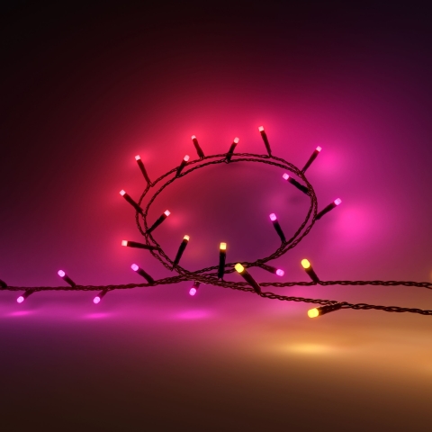 Philips Hue White & Color Ambiance Festavia Lichtslinger