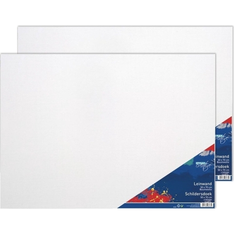 2x Schildersdoeken 50 x 70 cm voor hobby verf schilderen -