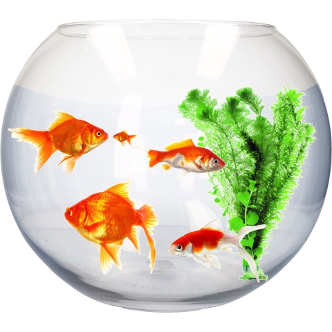 Glazen ronde vissenkom aquarium 31 x 40 cm -