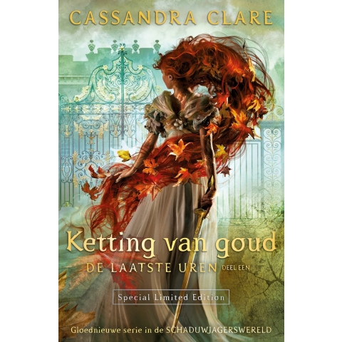 Ketting van goud (Hardback)