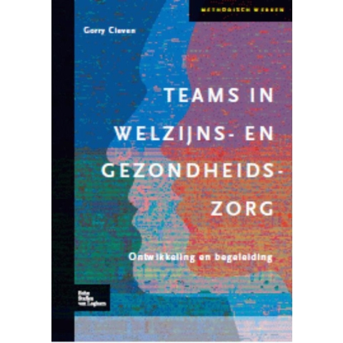 Teams in welzijns- en gezondheidszorg (Hardback)