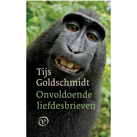 Onvoldoende liefdesbrieven (Paperback)