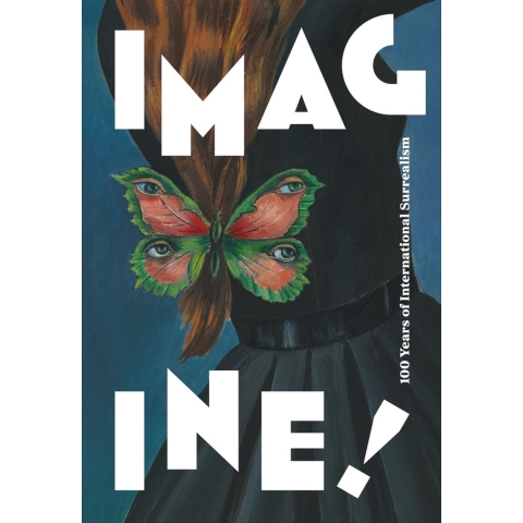Imagine! (Hardback)