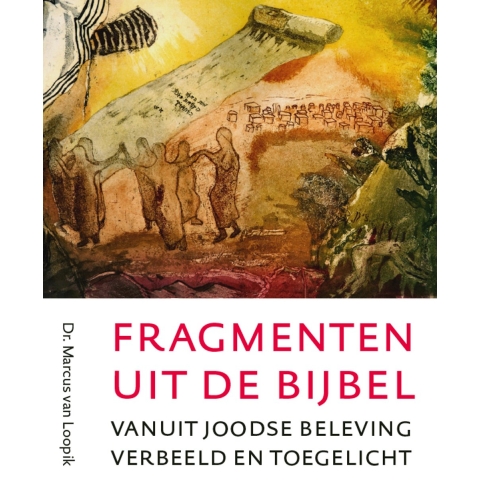 Fragmenten uit de Bijbel (Hardback)