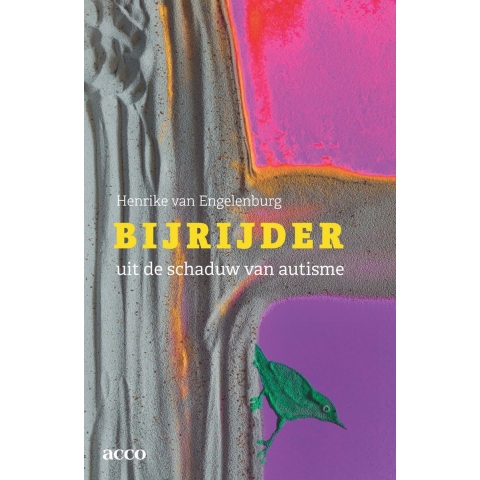 Bijrijder (Paperback)