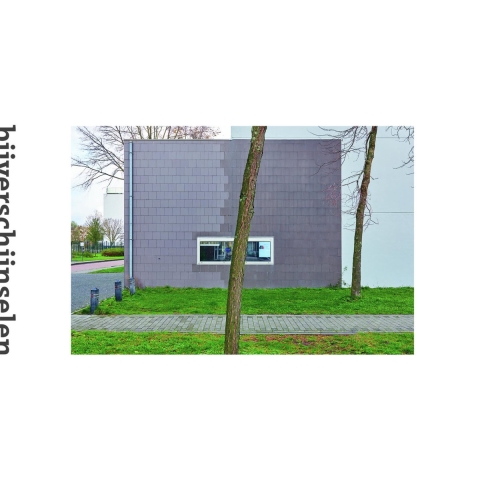Bijverschijnselen (Hardback)