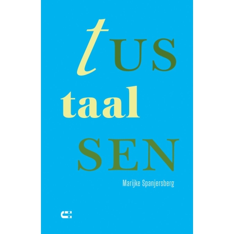Tussentaal (Paperback)
