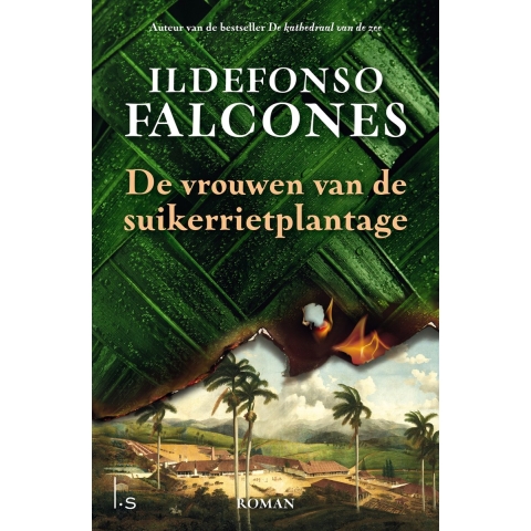 De vrouwen van de suikerrietplantage (Hardback)