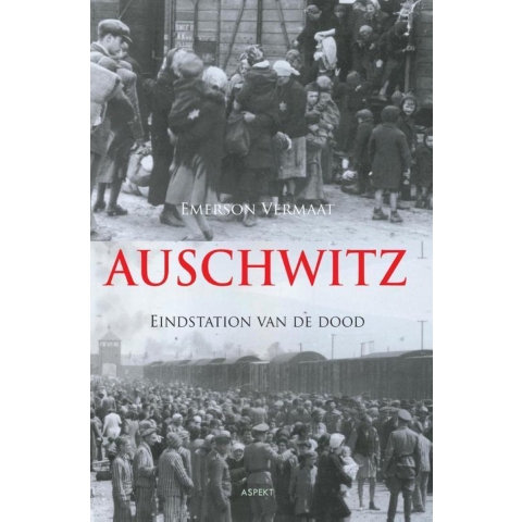Auschwitz (Paperback)