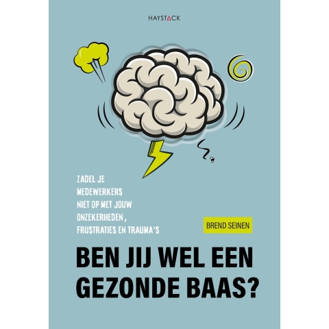 Ben jij wel een gezonde baas? (Paperback)
