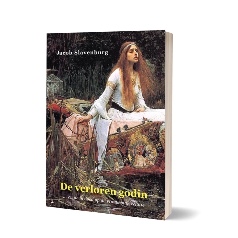 De verloren godin (Paperback)