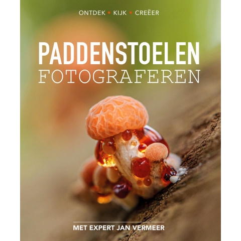 Paddenstoelen fotograferen (Paperback)