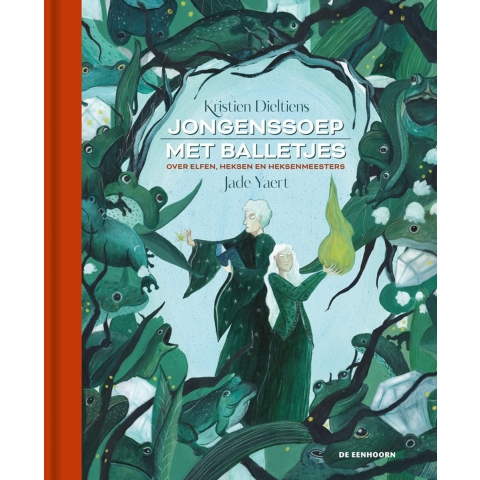 Jongenssoep met balletjes (Hardback)