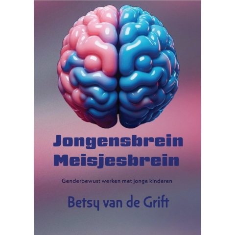 Jongensbrein meisjesbrein (Paperback)