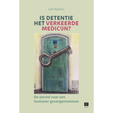 Is detentie het verkeerde medicijn? (Paperback)