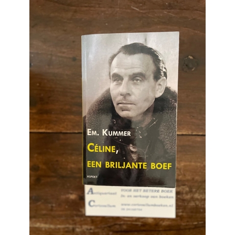 Celine een briljante boef (Paperback)