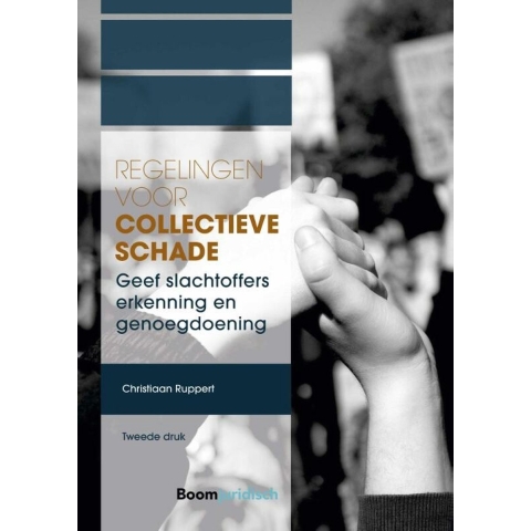 Regelingen voor collectieve schade (Paperback)