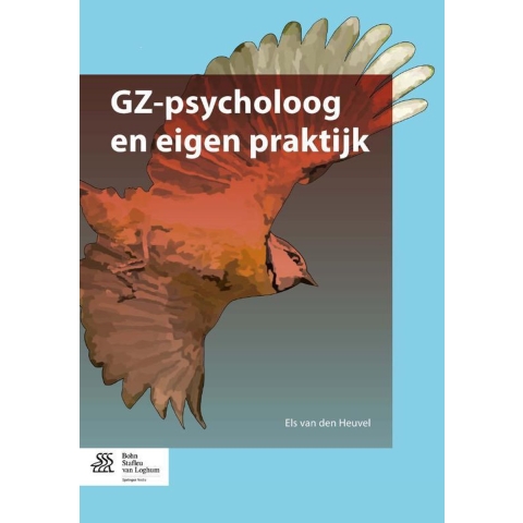 GZ-psycholoog en eigen praktijk (Paperback)